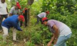 ভাদসায় জয়পুরহাট জেলা যুবদলের ডেঙ্গু প্রতিরোধ ও মশক নিধন অভিযান