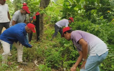 ভাদসায় জয়পুরহাট জেলা যুবদলের ডেঙ্গু প্রতিরোধ ও মশক নিধন অভিযান