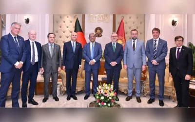 বাংলাদেশে ইউরোপীয় বিনিয়োগ বাড়ানোর আহ্বান রাষ্ট্রপতির