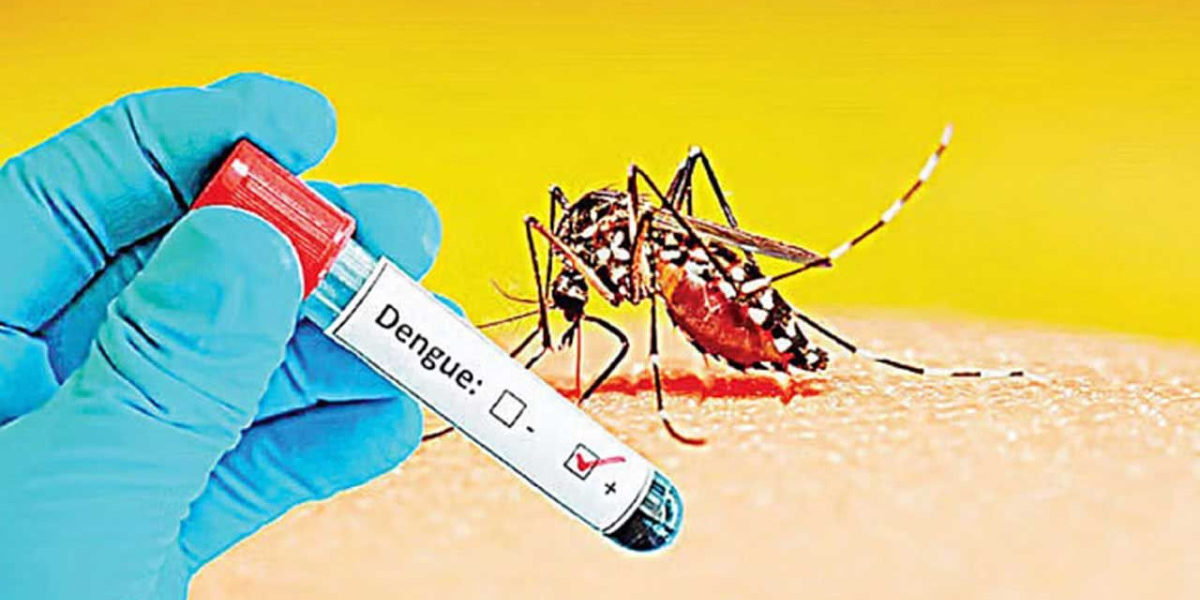 ডেঙ্গুতে প্রাণ গেল আরো ৮ জনের