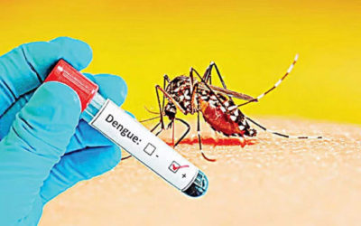 ডেঙ্গুতে প্রাণ গেল আরো ৮ জনের
