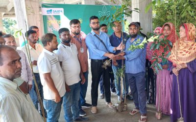 ঈশ্বরদীতে সাজেদা ফাউন্ডেশনের উদ্যোগে ৮ শতাধিক গাছের চারা বিতরণ