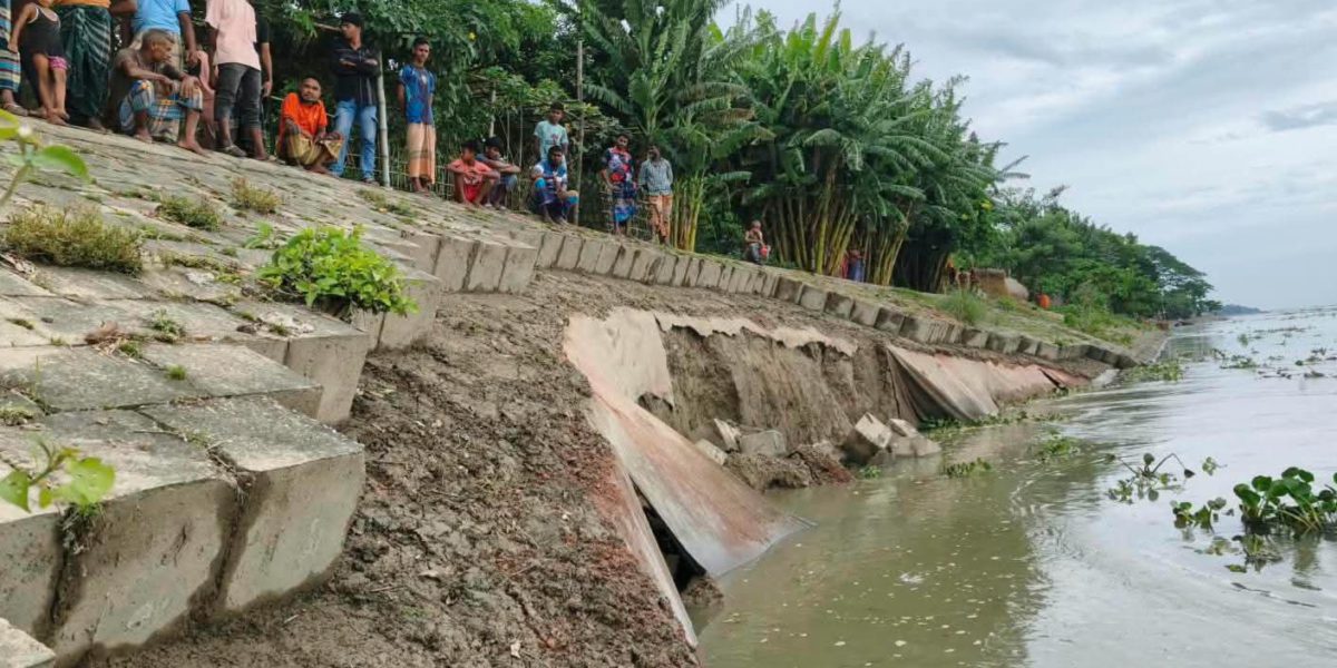 কুড়িগ্রামের চিলমারীর কাঁচকল কেডিওয়ারী এলাকায় ব্রহ্মপুত্র নদের তীর রক্ষা বাঁধে আবারও ধস,, আতঙ্কে এলাকাবাসী