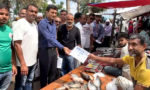 পাবনায় ডেঙ্গু প্রতিরোধে মশক নিধন ও পরিচ্ছন্নতা অভিযান ; সবােইকে সচেতন হওয়ার আহ্বান