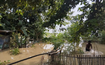 পদ্মার পানিতে রাজশাহীর প্রায় সাড়ে ৭০০ শিক্ষার্থীর শিক্ষা অনিশ্চিত, কয়েকটি বিদ্যালয়ে আশ্রয় নিয়েছেন বন্যার্তরা