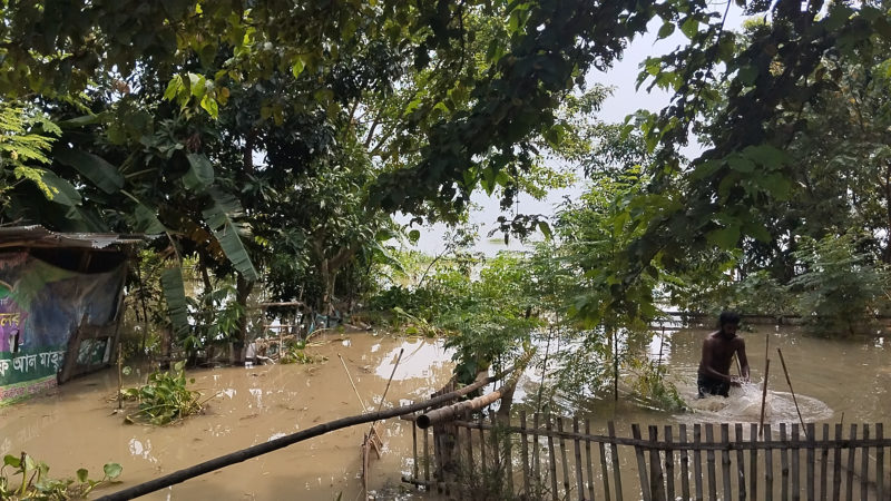 পদ্মার পানিতে রাজশাহীর প্রায় সাড়ে ৭০০ শিক্ষার্থীর শিক্ষা অনিশ্চিত, কয়েকটি বিদ্যালয়ে আশ্রয় নিয়েছেন বন্যার্তরা