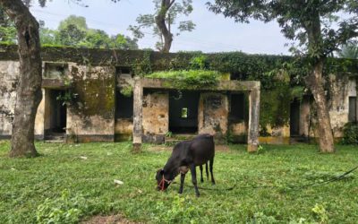 ঘোড়ঘাটে স্বাস্থ্য ও পরিবার কল্যাণ কেন্দ্রে ব্যবহার অনুপযোগী, চার বছর অস্থায়ী কক্ষে স্বাস্থ্যসেবা