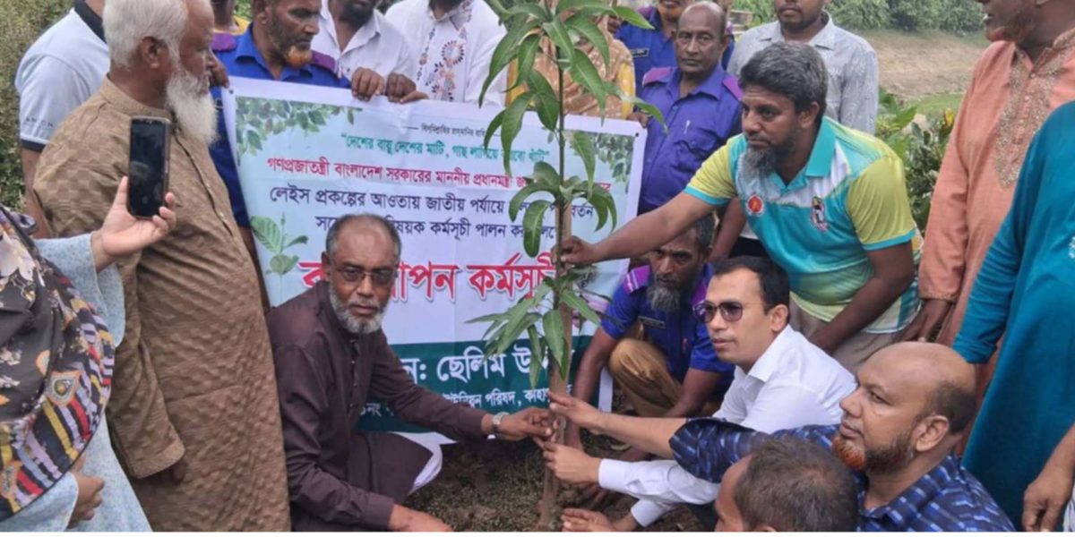 কাহালুর বীরকেদার ইউনিয়নে বৃক্ষরোপন করলেন এসিল্যান্ড