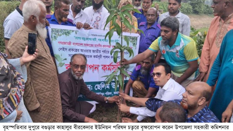 কাহালুর বীরকেদার ইউনিয়নে বৃক্ষরোপন করলেন এসিল্যান্ড