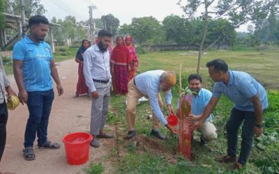 সবুজায়নের উদ্যোগে শাজাহানপুরে সড়কের পাশে বৃক্ষরোপণ