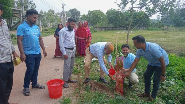 সবুজায়নের উদ্যোগে শাজাহানপুরে সড়কের পাশে বৃক্ষরোপণ