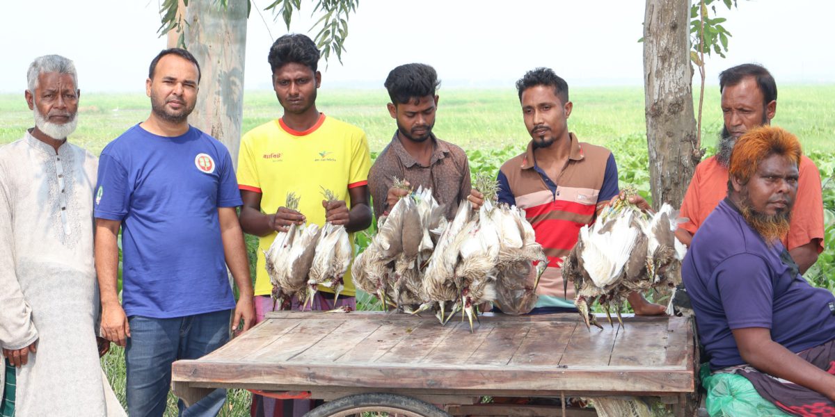 সিংড়ায় জবাই করা ৫০ বক উদ্ধার, ৫ জনকে জেল-জরিমানা