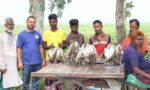 সিংড়ায় জবাই করা ৫০ বক উদ্ধার, ৫ জনকে জেল-জরিমানা