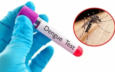 ডেঙ্গুতে একদিনে ১০ জনের মৃত্যু, হাসপাতালে ভর্তি ১৯৪৩