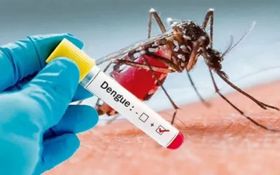 ডেঙ্গুতে এক দিনে ১১ জনের মৃত্যু