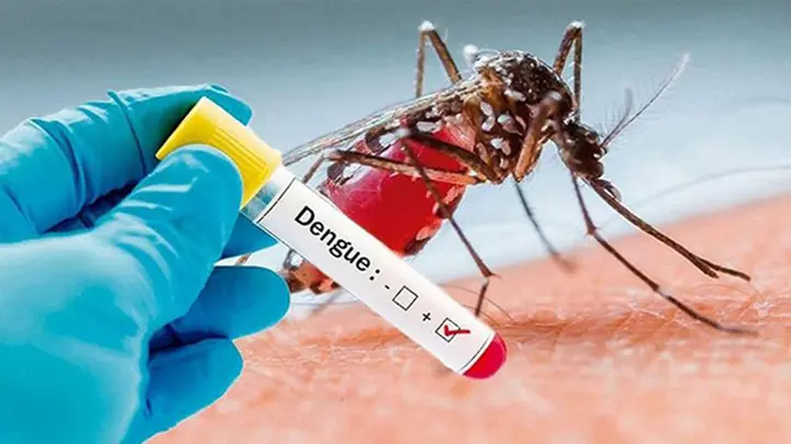 ডেঙ্গুতে এক দিনে ১১ জনের মৃত্যু