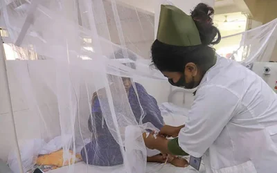 ডেঙ্গুতে আরও ৫ জনের মৃত্যু, হাসপাতালে ভর্তি ১৫১২