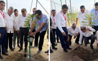 পরিকল্পনা ও সদিচ্ছায় পরিচ্ছন্ন-পরিবেশবান্ধব এলাকা গড়ে তোলা সম্ভব : প্রধানমন্ত্রী