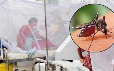 ডেঙ্গুতে আরো ৭ জনের মৃত্যু, হাসপাতালে ভর্তি ১৩৭৩