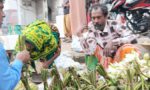 চলনবিলের শাপলা-ঢ্যাপ বিক্রিতে সংসার চলে আব্দুল আলিমের