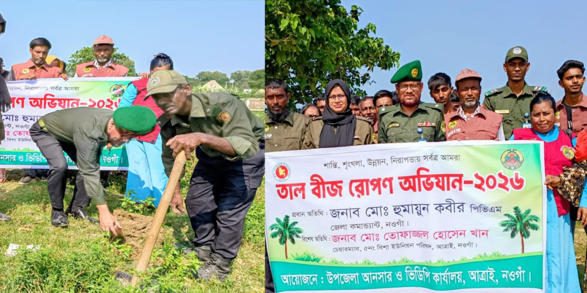 নওগাঁর আত্রাইয়ে বজ্রপাত রোধে আনসার-ভিডিপির আড়াই কিলোমিটার সড়কে ২ হাজার ৫০০ তালবীজ রোপণ