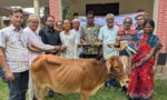 বগুড়ার শেরপুরে পিইপির উদ্দ্যোগে হতদরিদ্র পরিবারকে সহায়তা প্রদান
